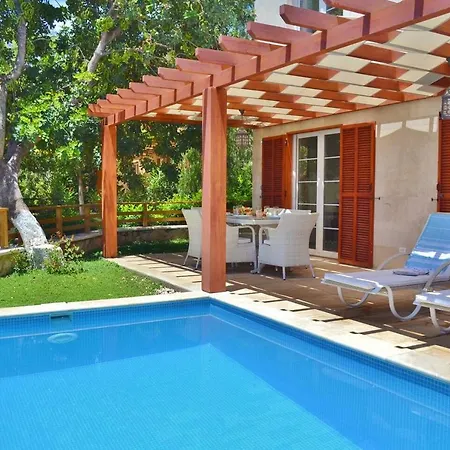 Zeytin, Lavanta, Kalkan