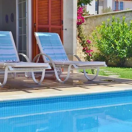 Villa Zeytin, Lavanta,