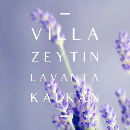 Villa Zeytin, Lavanta,